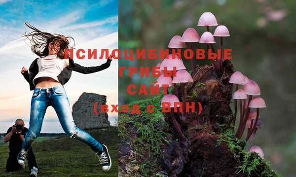 стафф Нея