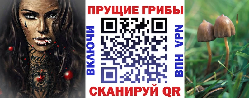 Галлюциногенные грибы мицелий даркнет сайт Североуральск